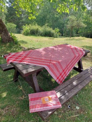 2'li Çok Amaçlı Pötikare Örtü 150x150 cm | Sofra Bezi, Piknik, Masa Örtüsü Seti - 9