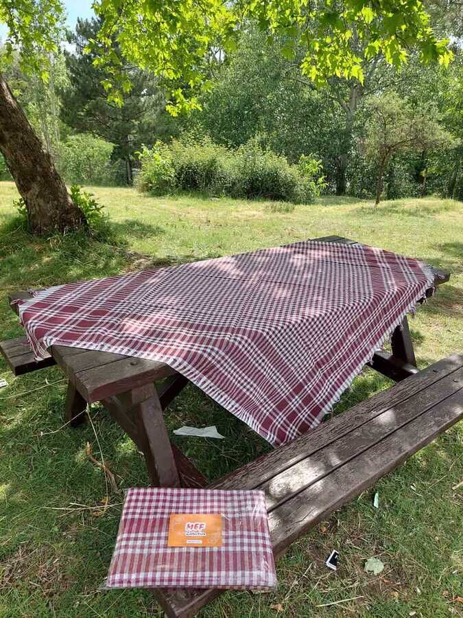 2'li Çok Amaçlı Pötikare Örtü 150x150 cm | Sofra Bezi, Piknik, Masa Örtüsü Seti - 15